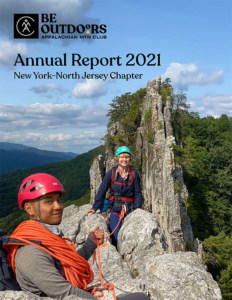AMC - 2021 Annual Report cover