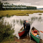 Annual Report for 2022.